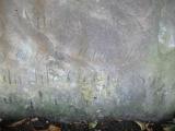 image of grave number 177652